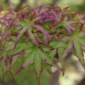 Meet your Posher, Teresa